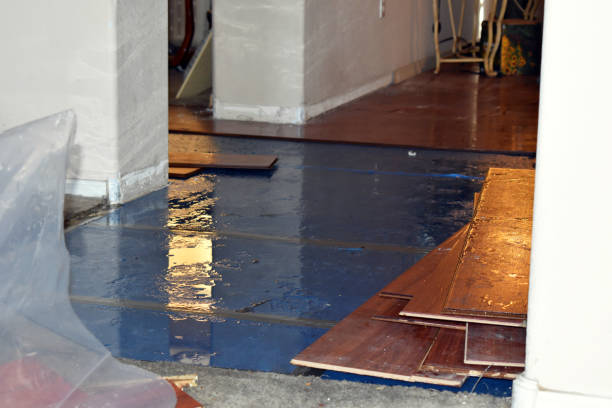 Professional Water Extraction technician working in Helendale, CA